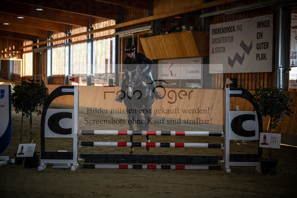 DOS_0188 | Entdecke hochwertige Reitturnierfotos von Foto Oger. Professionell, emotional und authentisch – jetzt Lieblingsmomente im Shop bestellen.Deutschlandweite Turnierfotografie. - Realisiert mit Pictrs.com