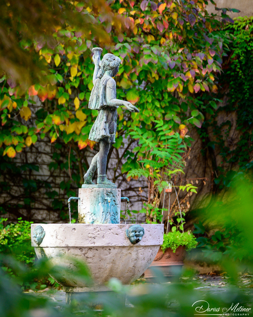 _DSC0655 | Fotografien, Fotos und Bilder aus Mainz, Frankfurt, Wiesbaden und anderen Orten auf der Welt - Fotografiert von Darius Metzner