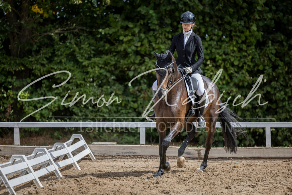 20260905-_3LI8002 | Tierfotografie Pferde, Hunde, Katzen, Haustiere.
Turnierfotografie Reitturniere, Reiten, Springreiten, Dressur in Hanau, dem Main-Kinzig-Kreis und dem Rhein-Main- Gebiet um Frankfurt