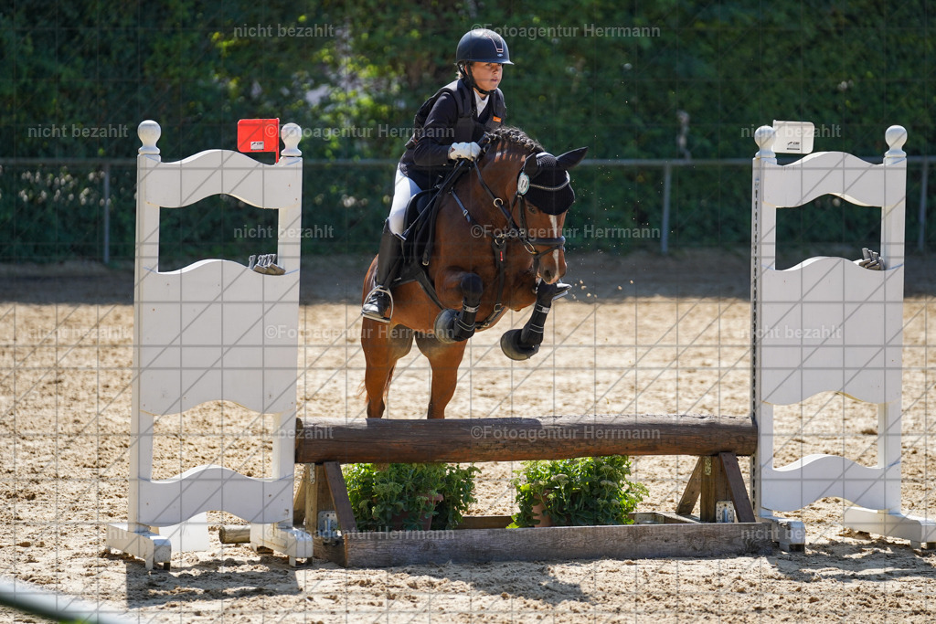 20240824-FAH08130 | Thierhaupten 2024, Bayerisches Landesponyturnier, Turnierbilder, Ponybilder, Turnierfotografen Bayern, Fotoagentur Herrmann