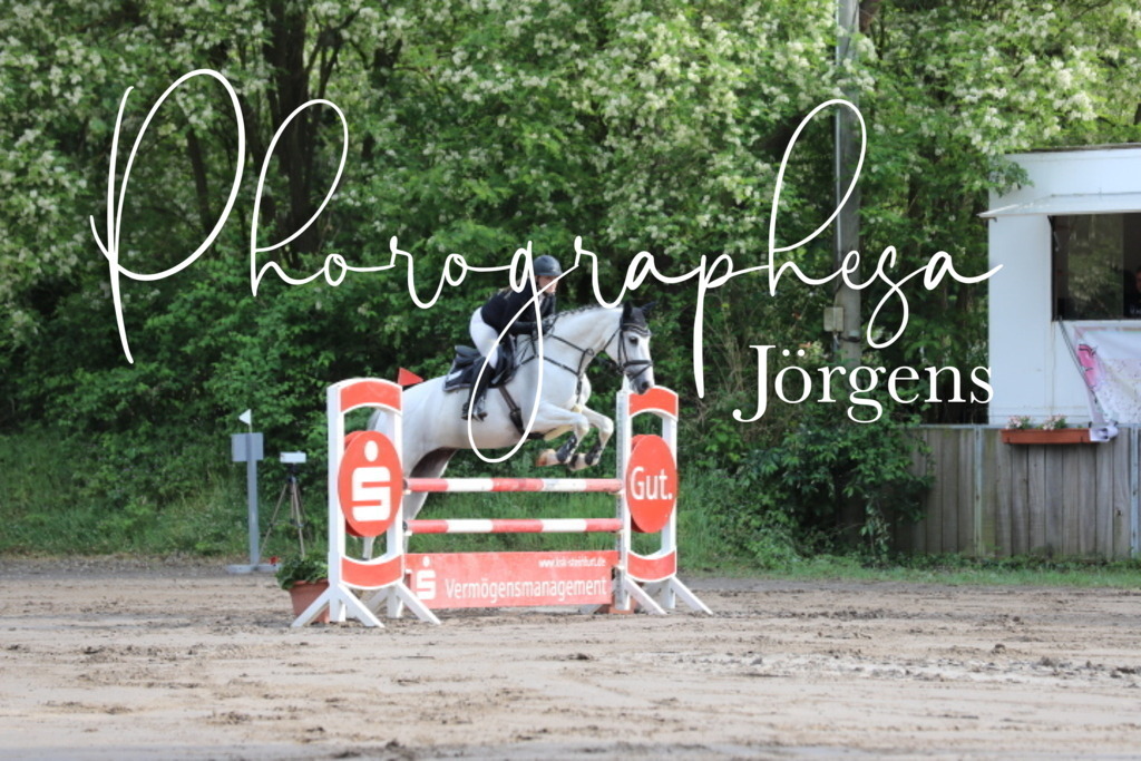 IMG_9046 | photographesa-joergens - Realisiert mit Pictrs.com