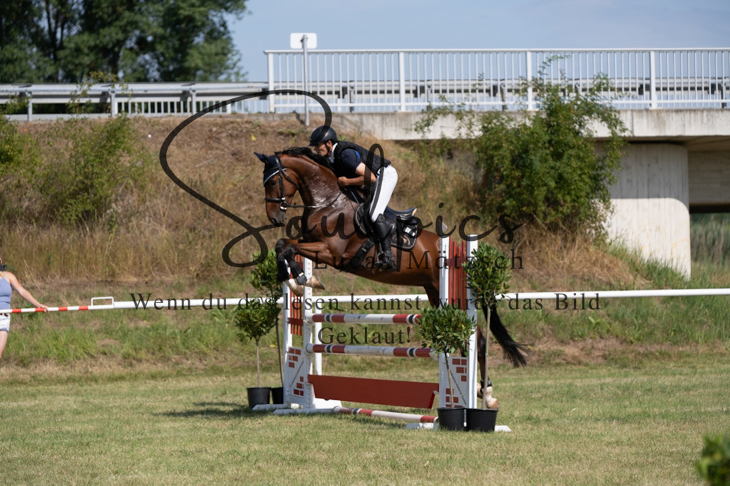 A7V01541 | Pferdefotograf