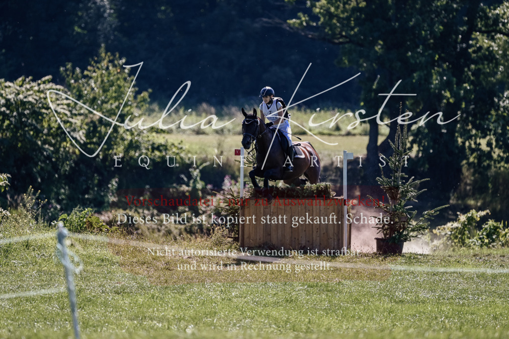 DSC_1721 | Pferde- und Turnierfotografie in Westsachsen. Pferdeportraits, Auftragszeichnungen und intuitive Kunst.