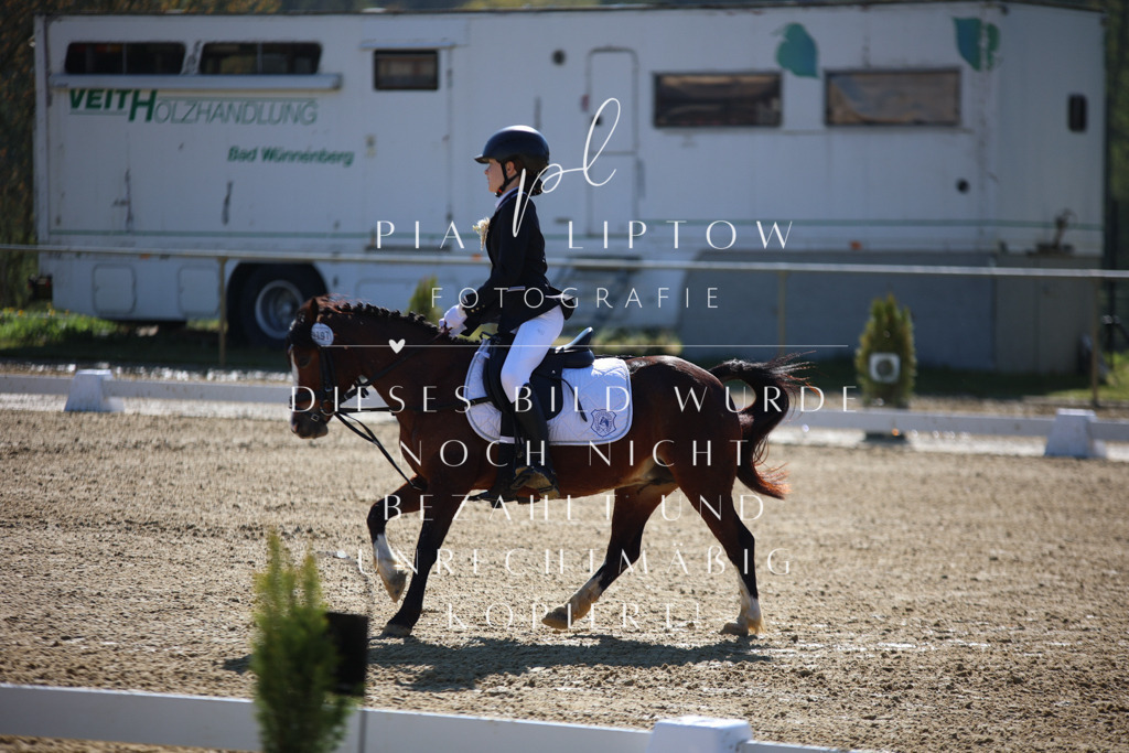 IMGT9587 | pl-fotografie