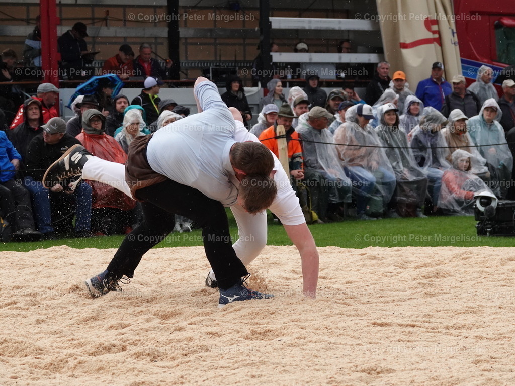 DSC06263 | Schwingen - Realisiert mit Pictrs.com