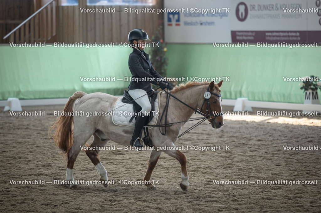 _D5A8712 | Emotionale Pferde- & People-Fotografie rund um Heidelberg, Leimen & Umgebung. Natürliche Fotos von Pferd, Mensch & Familie. Jetzt Termin sichern!