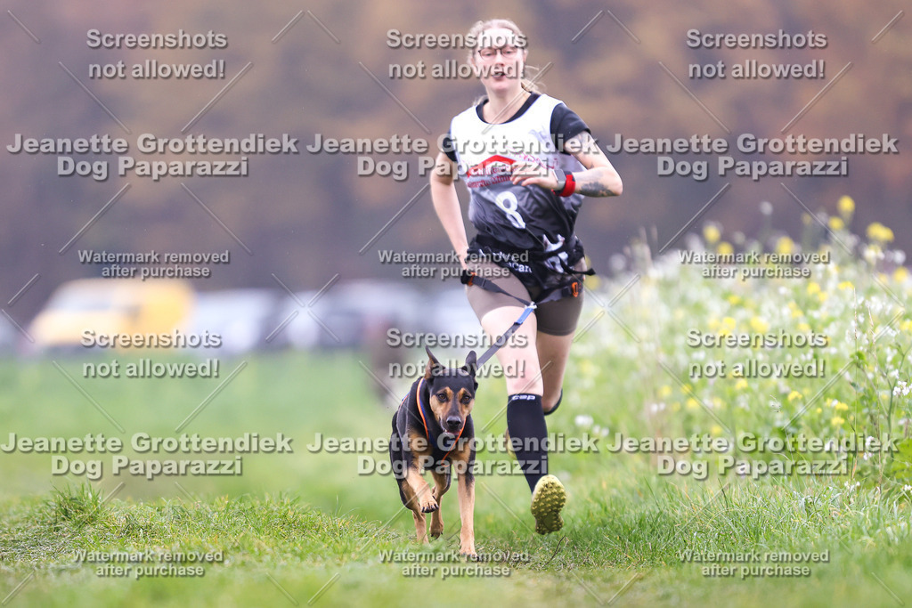 Dog Paparazzi - Visbeck 25 -803 | Dog Paparazzi Jeanette Grottendiek Fotografie & Videografie - Realisiert mit Pictrs.com