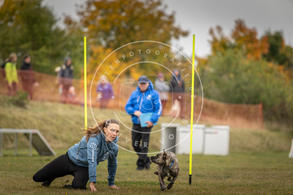 Pfotenfotografie_DV3A3487 | Hundefotografie, Tierfotograf, Pfotenfotografie, Fotoshooting Hund, Hunde Portrait, Hundesport, Hundeportraits, Heideshooting, Hunde, Sportfotograf, Hundefotograf, Turnierhundsport, THS,  - Realisiert mit Pictrs.com