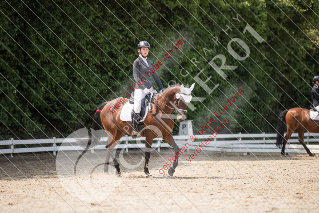 IMG_3599 | Sport-, Event- und Tierfotos in Profiqualität. Einfach auswählen, bestellen und herunterladen. Dein Moment – perfekt festgehalten.