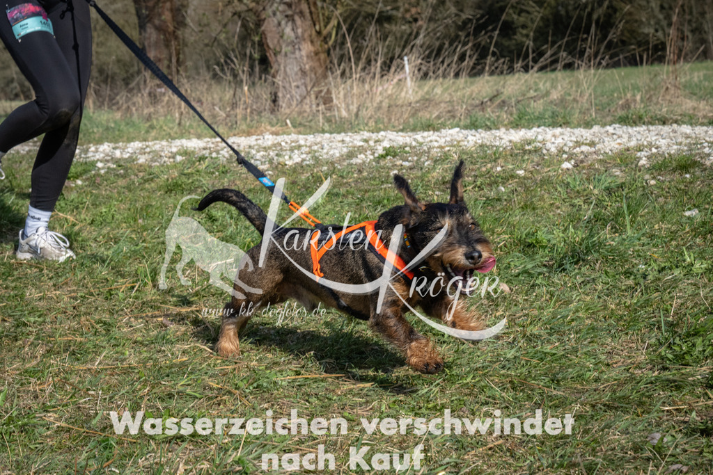 0931_ZZ93872 | kk-dogfotos