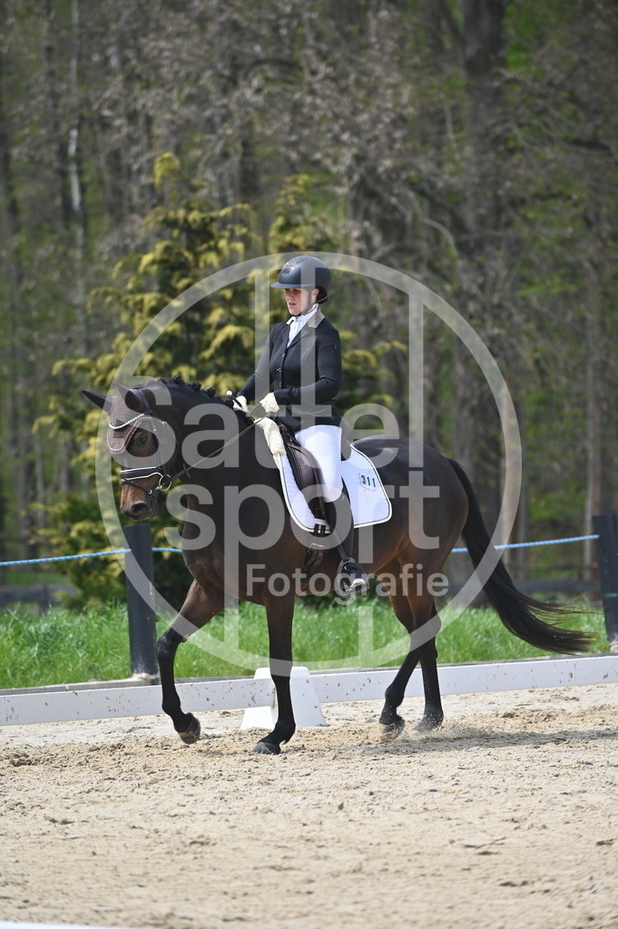 DSC_3116 | sattelsport - Realisiert mit Pictrs.com