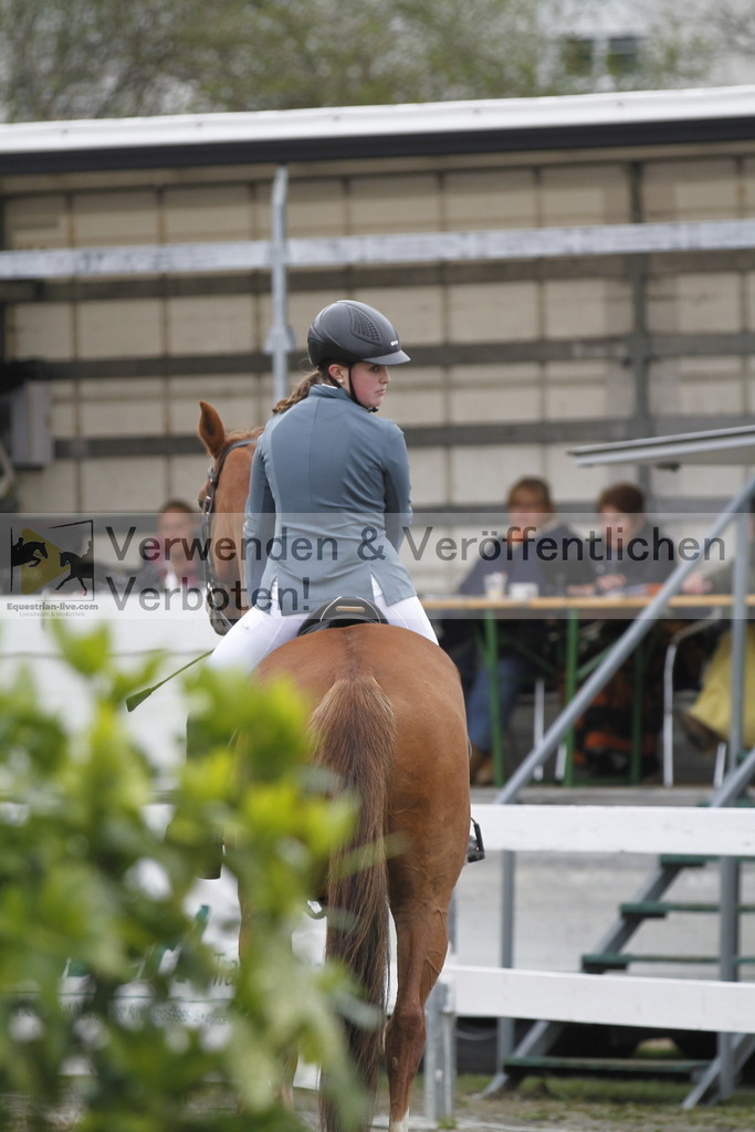 _MG_4439 | equestrian-live-com
