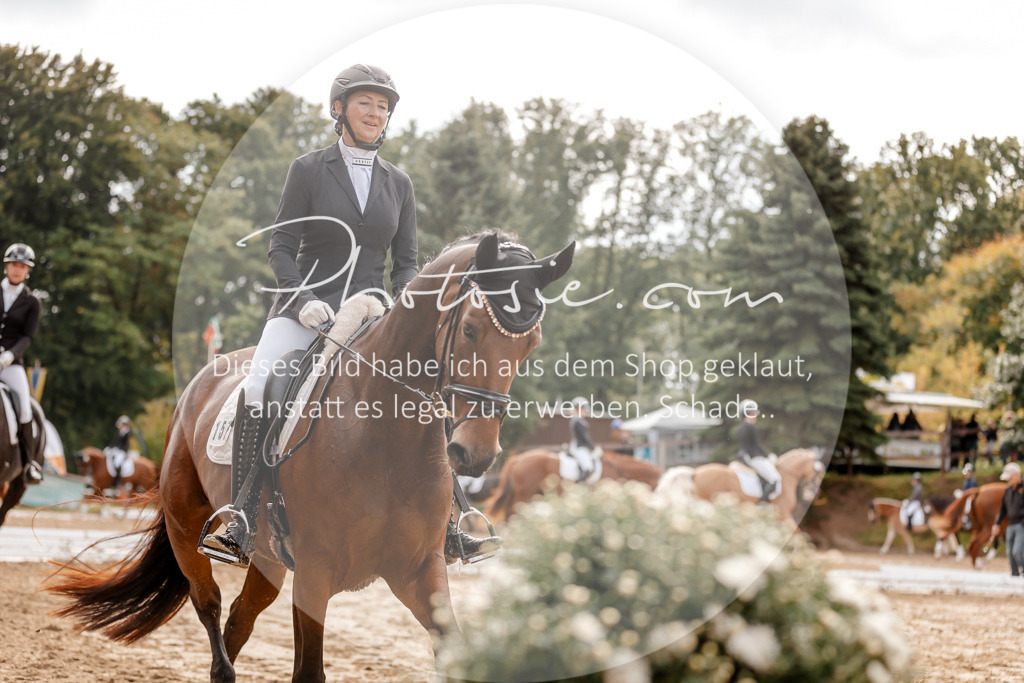 3I6A7193 | Stimmungsvolle Portraits und Reitsportfotografie im Ruhrgebiet und im Münsterland.

Pferdefotografie, Hundefotografie, Tierfotografie, Reportagen, Portraits von Tier und Mensch, Turnierfotografie in Bochum, Recklinghausen, Marl, Haltern am See, Dülmen.. - Realisiert mit Pictrs.com
