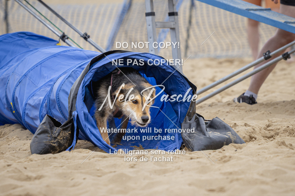 nelerasche_BuHu2026_So10-11_326 | nelerasche