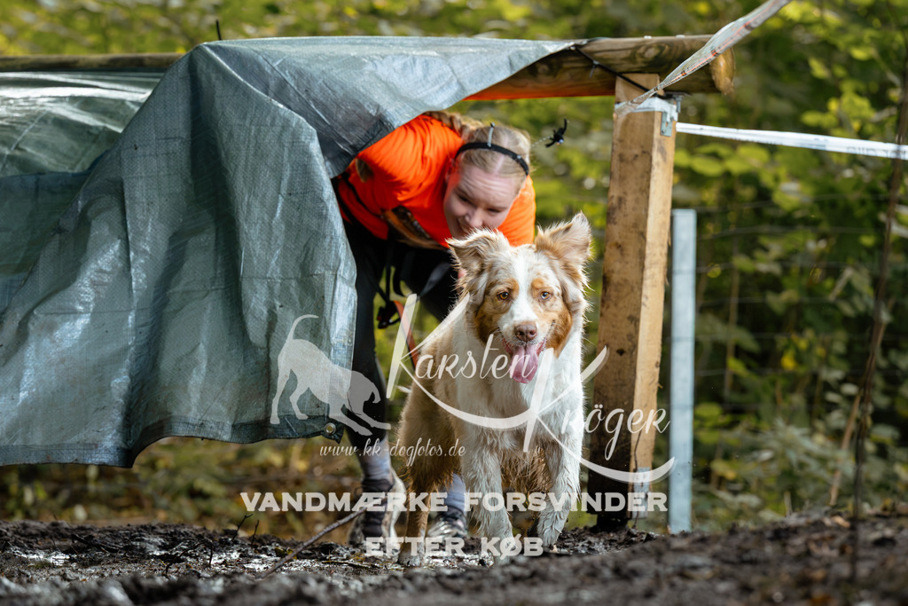 1415DZ6_1366Z6 | kk-dogfotos