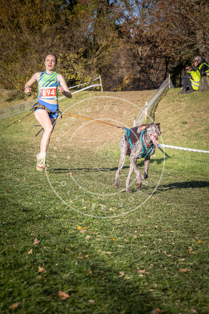 CaniXpix_0L8A9391 | Hundefotografie, Tierfotograf, Pfotenfotografie, Fotoshooting Hund, Hunde Portrait, Hundesport, Hundeportraits, Heideshooting, Hunde, Sportfotograf, Hundefotograf, Turnierhundsport, THS,  - Realisiert mit Pictrs.com