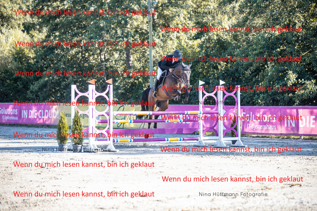 BK1A6081 | Turnierbilder Turnierfotos Nina Hüffmann Turnierfotografie Pferdefotografie Tierzeichnung Haustierzeichnung Pferdezeichnung Hundezeichnung Videograf  - Realisiert mit Pictrs.com