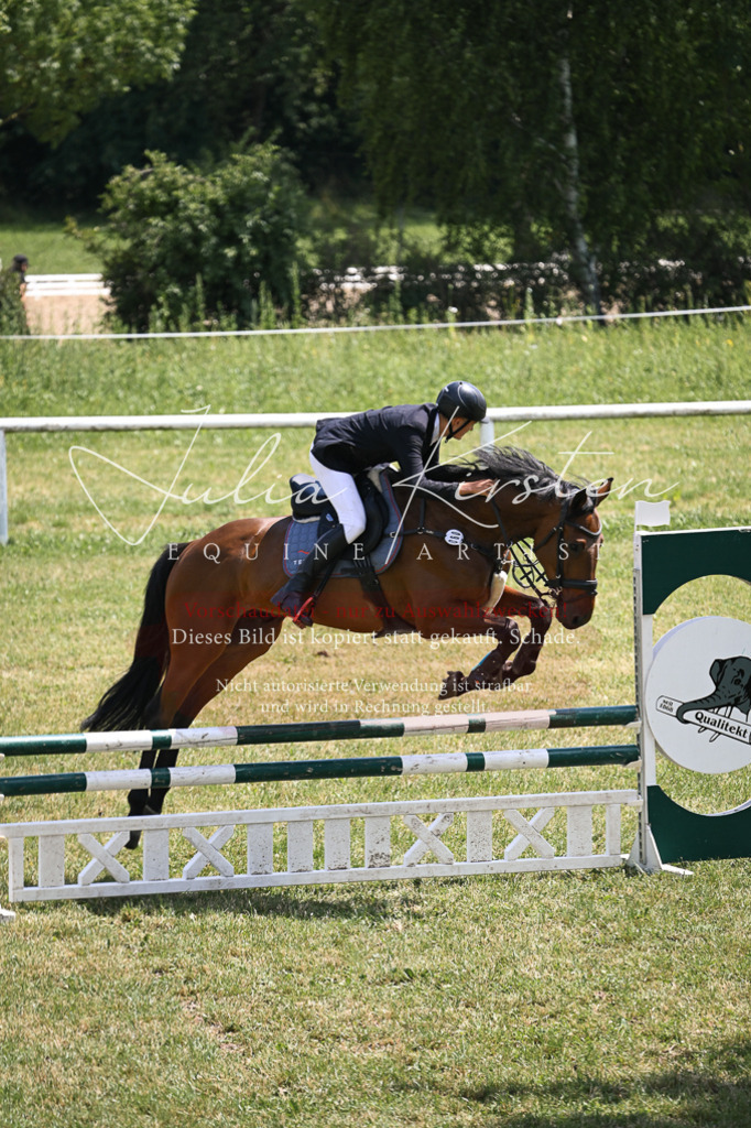 DSC_9607 | Pferde- und Turnierfotografie in Westsachsen. Pferdeportraits, Auftragszeichnungen und intuitive Kunst.