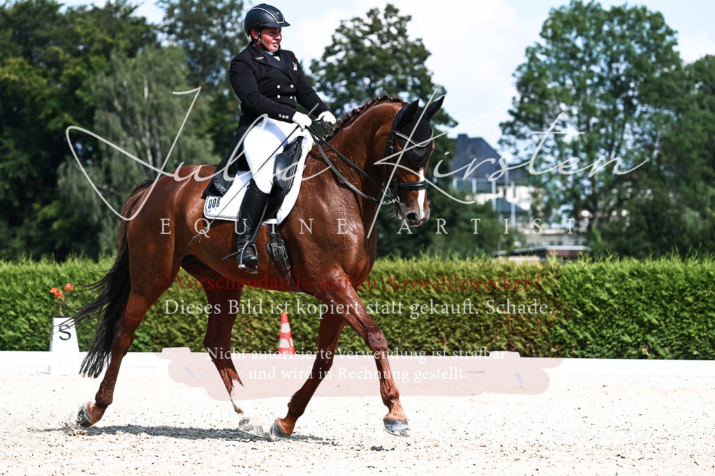 DSC_3238 | Pferde- und Turnierfotografie in Westsachsen. Pferdeportraits, Auftragszeichnungen und intuitive Kunst.
