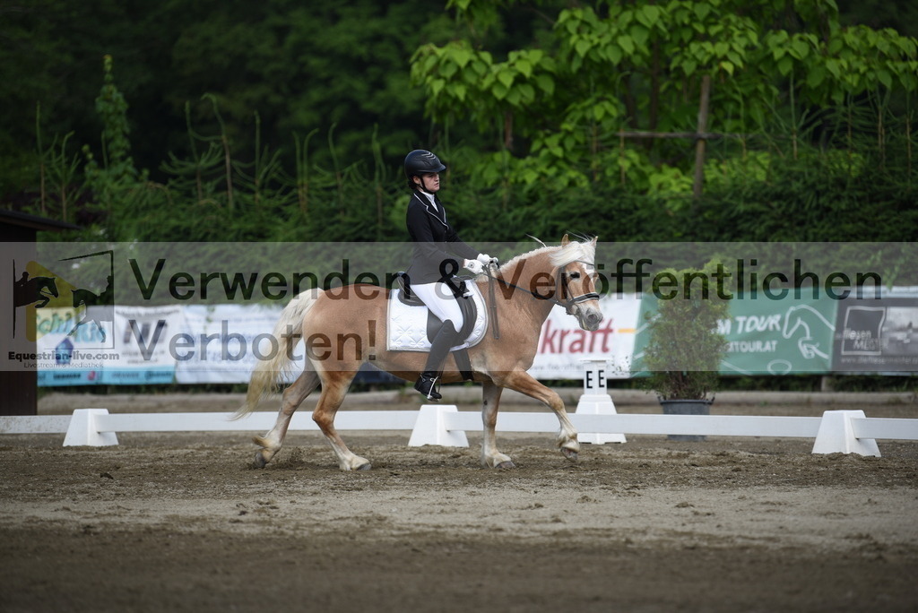 DSC_7736 | equestrian-live-com