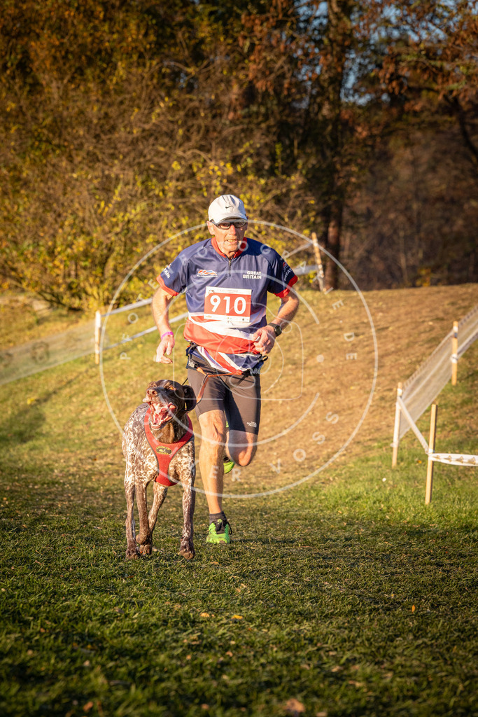 CaniXpix_0L8A1481 | Hundefotografie, Tierfotograf, Pfotenfotografie, Fotoshooting Hund, Hunde Portrait, Hundesport, Hundeportraits, Heideshooting, Hunde, Sportfotograf, Hundefotograf, Turnierhundsport, THS,  - Realisiert mit Pictrs.com