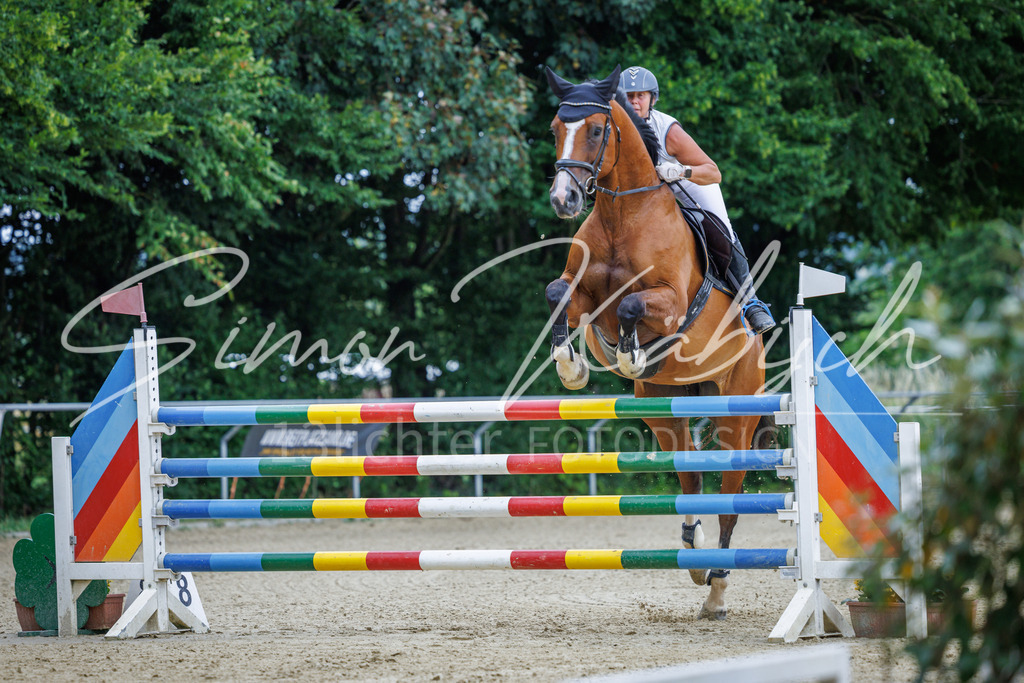 20260705-_3LI6442 | Tierfotografie Pferde, Hunde, Katzen, Haustiere.
Turnierfotografie Reitturniere, Reiten, Springreiten, Dressur in Hanau, dem Main-Kinzig-Kreis und dem Rhein-Main- Gebiet um Frankfurt