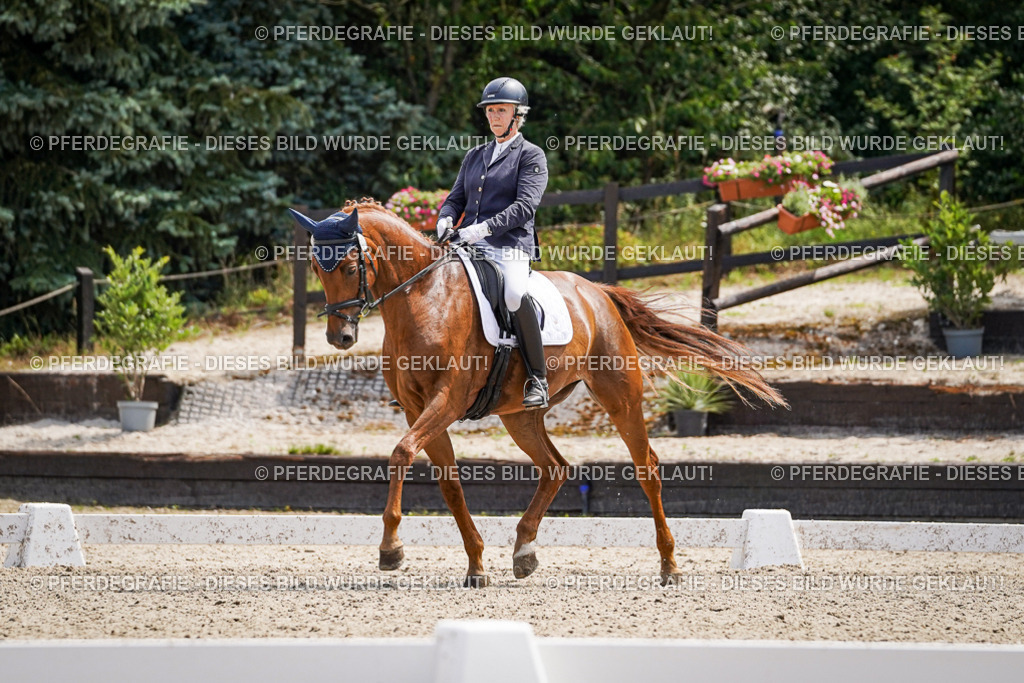 DSC00469 | Pferdegrafie