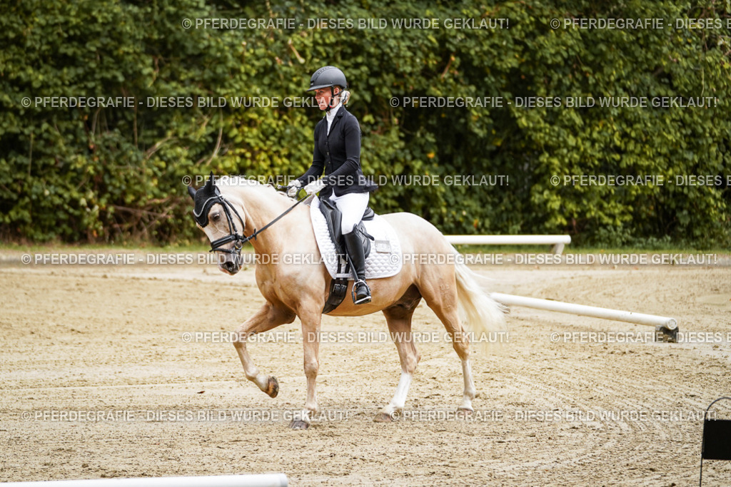 DSC08424 | Pferdegrafie