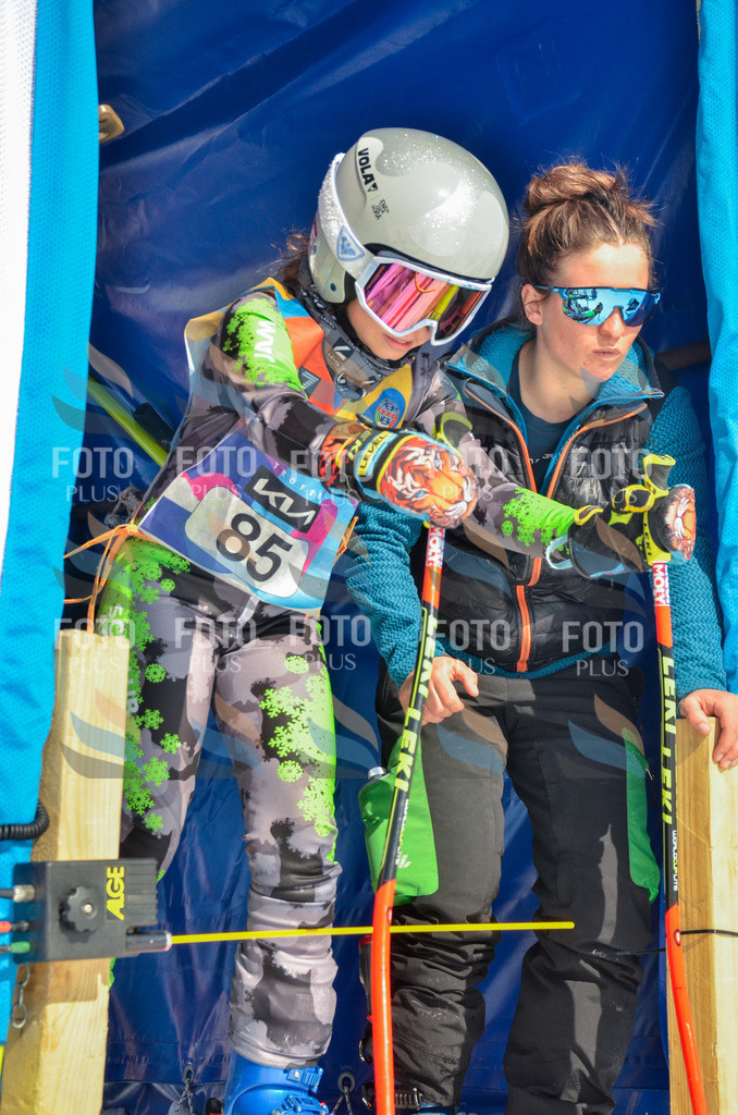 _ELE5611 | holidayphoto