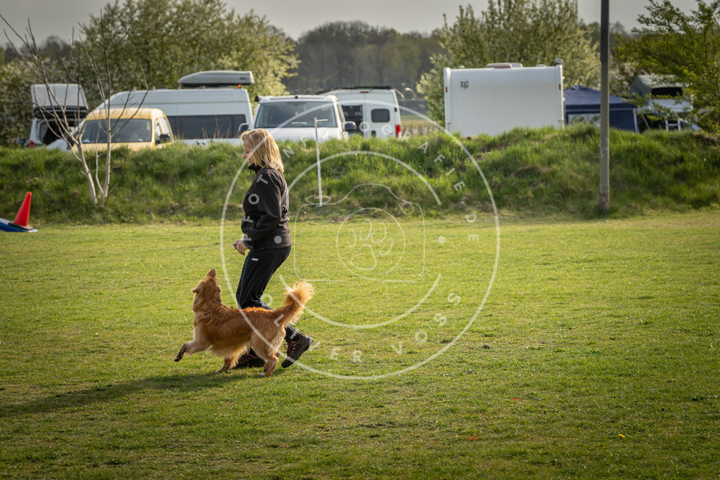 Pfotenfotografie_DV3A4854 | Hundefotografie, Tierfotograf, Pfotenfotografie, Fotoshooting Hund, Hunde Portrait, Hundesport, Hundeportraits, Heideshooting, Hunde, Sportfotograf, Hundefotograf, Turnierhundsport, THS,  - Realisiert mit Pictrs.com