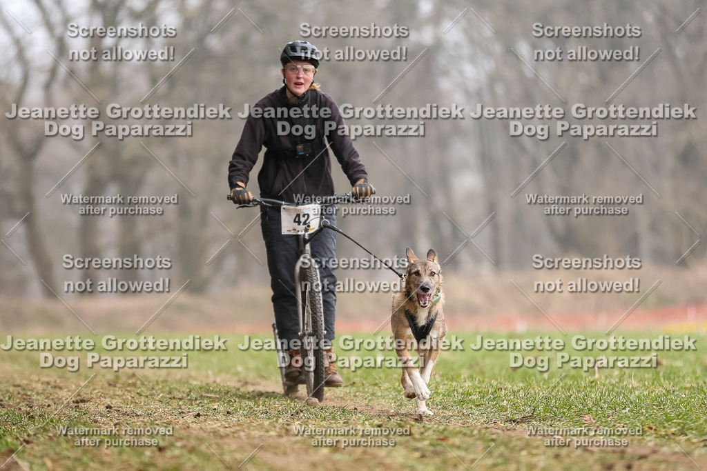 Dog Paparazzi - Plate 2026-133 | Dog Paparazzi Jeanette Grottendiek Fotografie & Videografie - Realisiert mit Pictrs.com