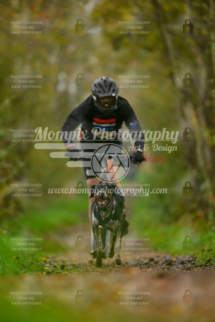 MompixPhotography_20TSB_E6_DS1-16 | PayLife