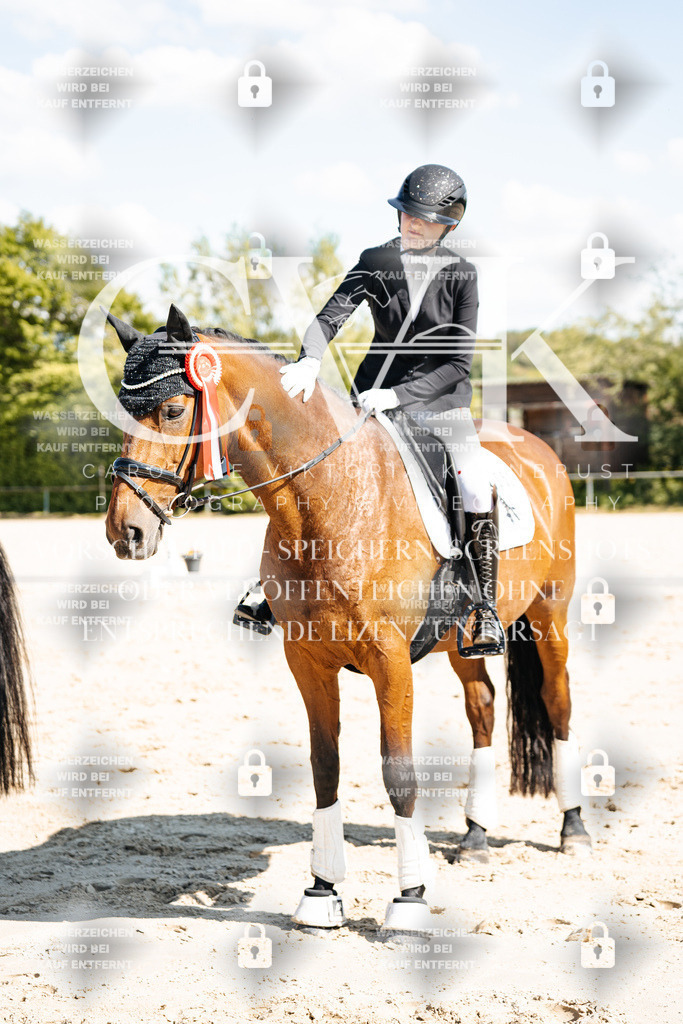 CK703571 | Turnierfotografie Pferdefotografie Trier Rheinland-Pfalz Pferdesport Reitsport Tierfotografie Sportfotografie Pferdevideo Pferdevideografie Equestrianvideography equestrianphotography  - Realisiert mit Pictrs.com
