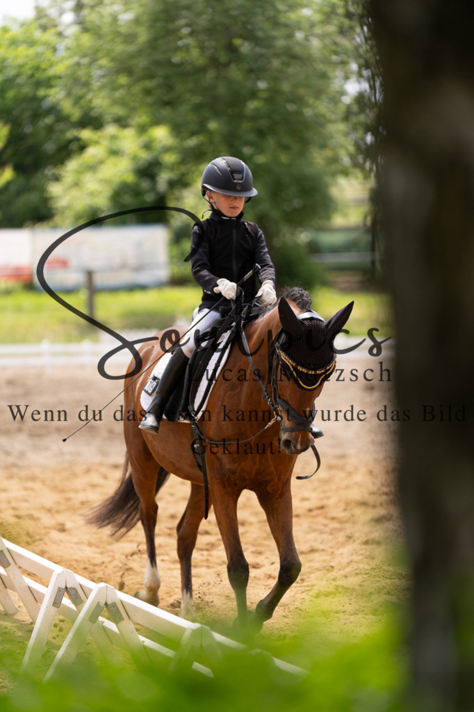 A7506017 | Turnier/Reitfotograf