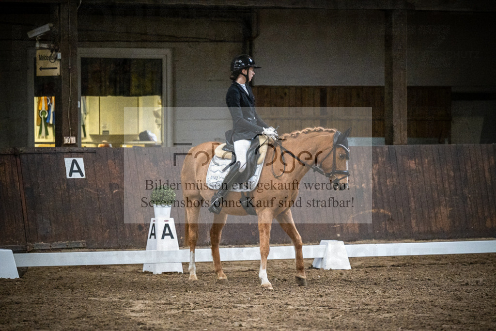 DOS_1612 | Entdecke hochwertige Reitturnierfotos von Foto Oger. Professionell, emotional und authentisch – jetzt Lieblingsmomente im Shop bestellen.Deutschlandweite Turnierfotografie. - Realisiert mit Pictrs.com
