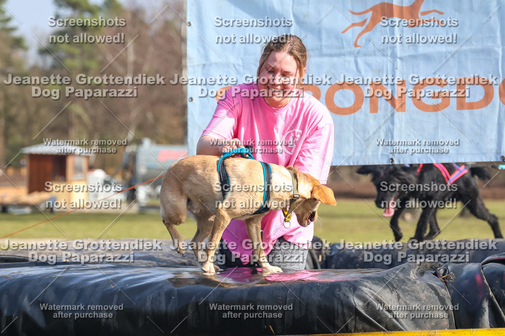 Dog Paparazzi - Strongdog North Mrz26-2368 | Dog Paparazzi Jeanette Grottendiek Fotografie & Videografie - Realisiert mit Pictrs.com