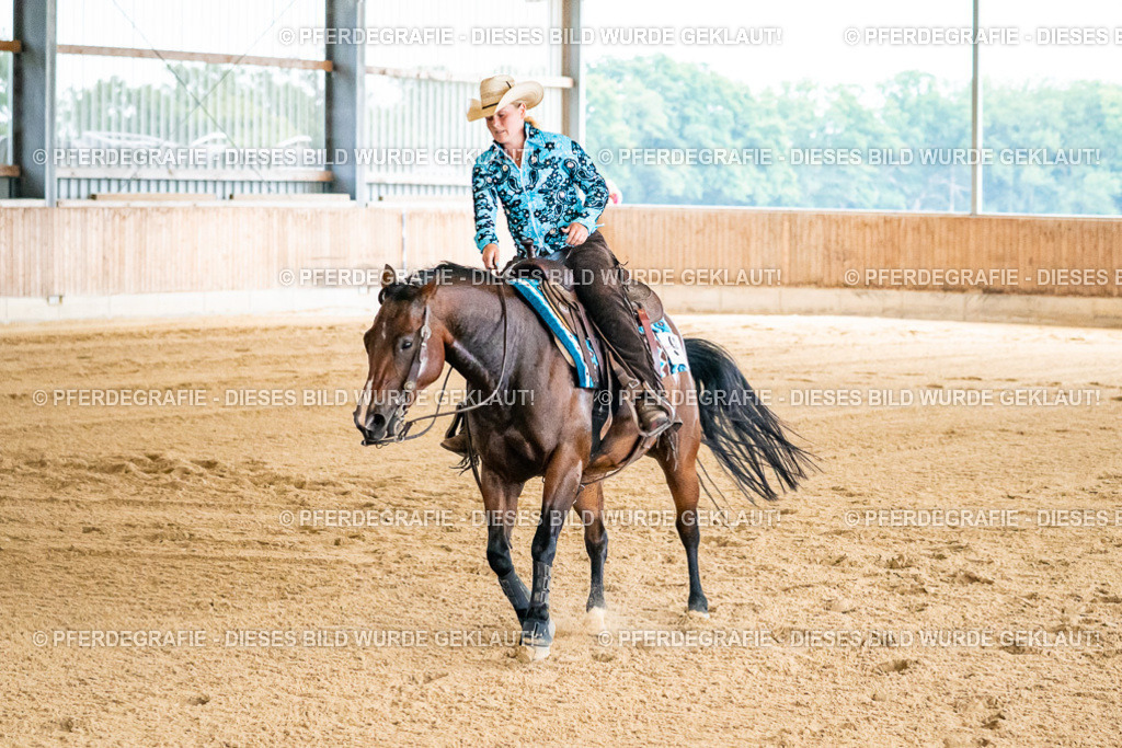 DSC06552 | Pferdegrafie