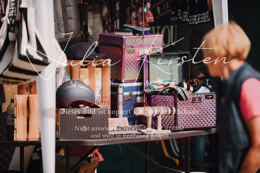 DSC_4311 | Pferde- und Turnierfotografie in Westsachsen. Pferdeportraits, Auftragszeichnungen und intuitive Kunst.