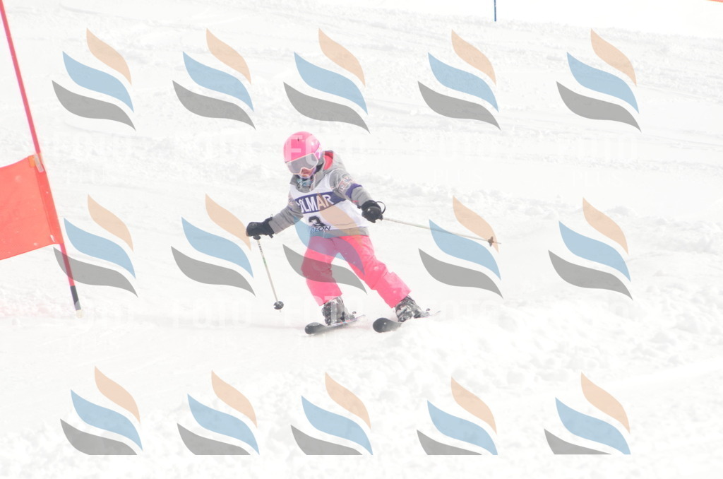 A5001 | holidayphoto