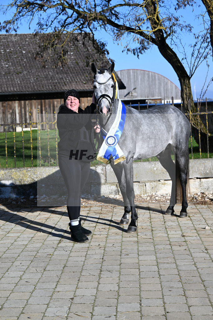 Kat-Nr. 3 Golden Diamond K v. GoldenGray_Koldas_49250369 | hf-fotografie - Realisiert mit Pictrs.com