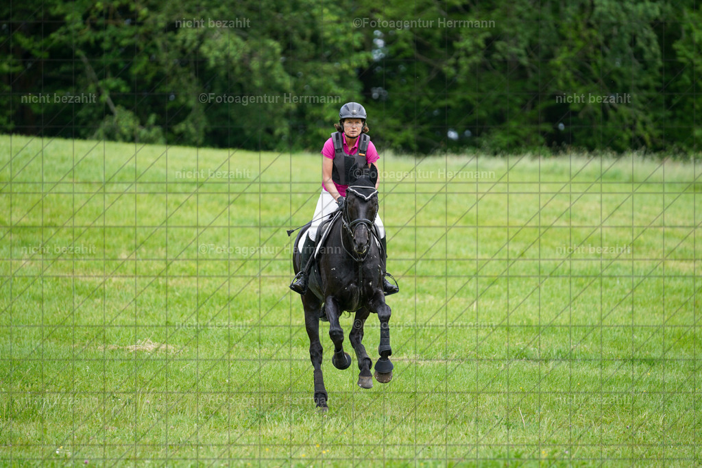 20240518-FAH03930 | Turnierbilder von Niederseon, Turnierfotografen Bayern, Fotoagentur Herrmann, Geländebilder, Reitsportfotografie