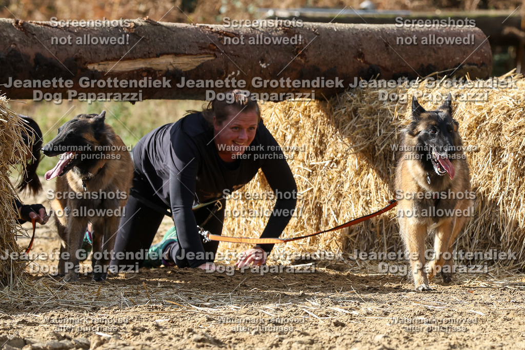 Dog Paparazzi - Strongdog 10-25-5347 | Dog Paparazzi Jeanette Grottendiek Fotografie & Videografie - Realisiert mit Pictrs.com