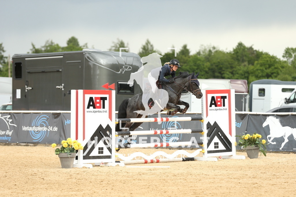 DL2Q2662 | Willkommen bei Brunnmayr - Design & Fotografie – Ihrem Spezialisten für Reitturniere und Pferdeveranstaltungen in Oberösterreich, Salzburg und Bayern! Seit über 17 Jahren sind wir leidenschaftlich dabei.