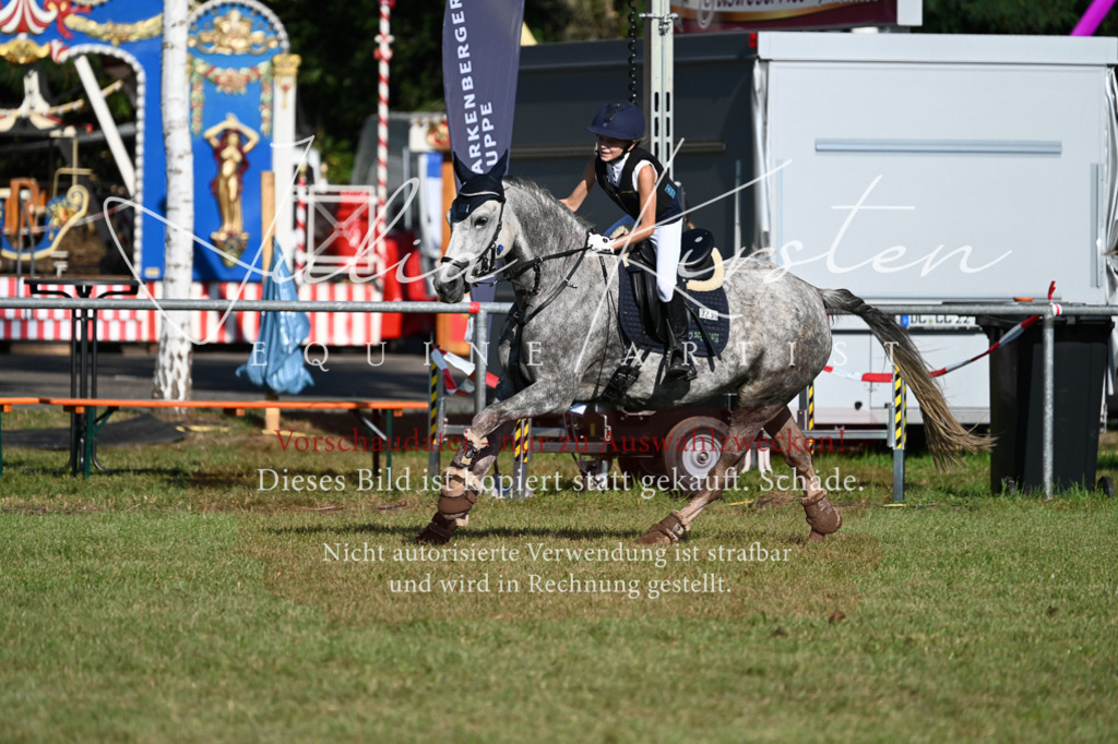DSC_5064 | Pferde- und Turnierfotografie in Westsachsen. Pferdeportraits, Auftragszeichnungen und intuitive Kunst.