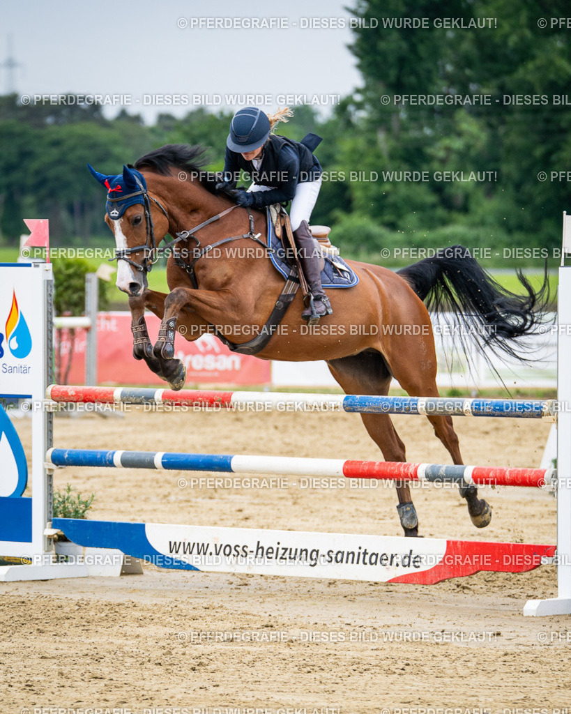 DSC05243 | Pferdegrafie