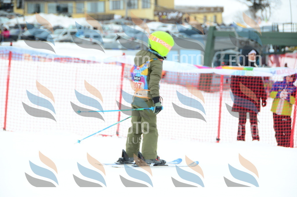 DSC_1871 | holidayphoto