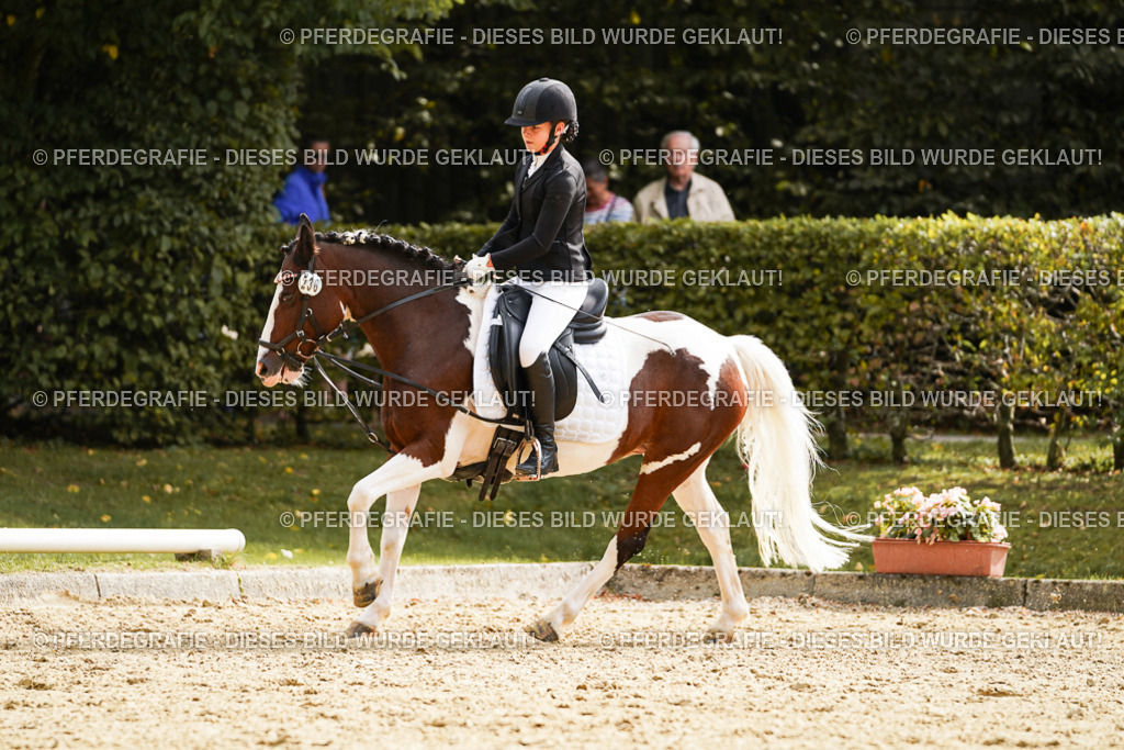 DSC01286 | Pferdegrafie