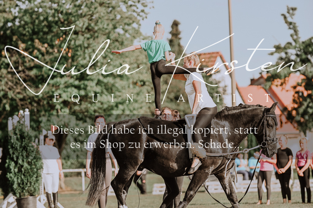 DSC_9969 | Pferde- und Turnierfotografie in Westsachsen. Pferdeportraits, Auftragszeichnungen und intuitive Kunst.