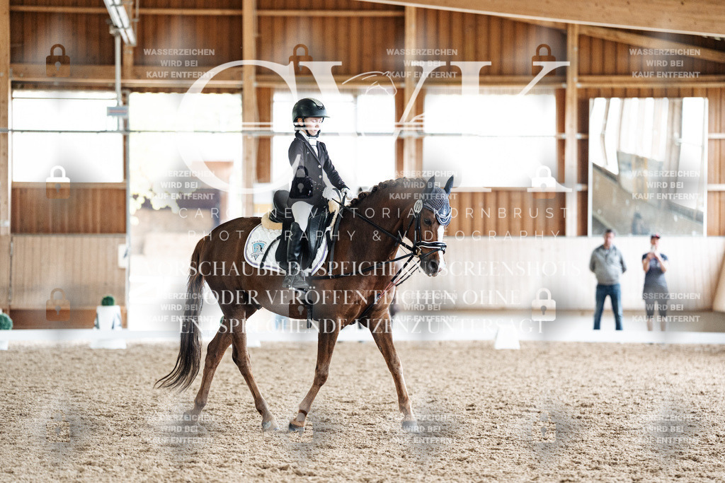 CK901629 | Turnierfotografie Pferdefotografie Trier Rheinland-Pfalz Pferdesport Reitsport Tierfotografie Sportfotografie Pferdevideo Pferdevideografie Equestrianvideography equestrianphotography  - Realisiert mit Pictrs.com