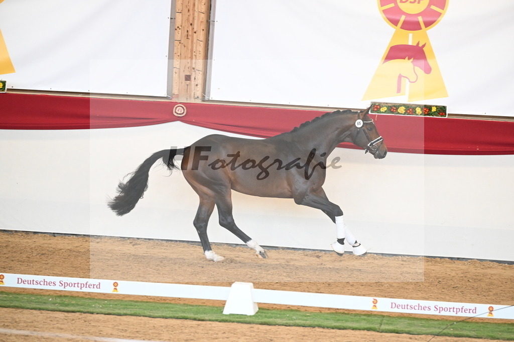 Kat.-Nr. 65 v. Fürst Zonik PS_Raedecke_2250914 | hf-fotografie - Realisiert mit Pictrs.com